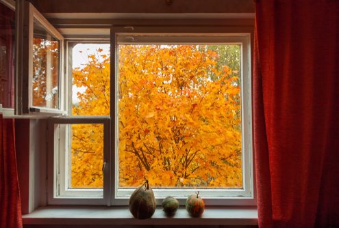 fall window ideas