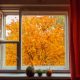 fall window ideas