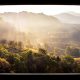 An open window leading to a mountainous, wooded landscape at sunrise.